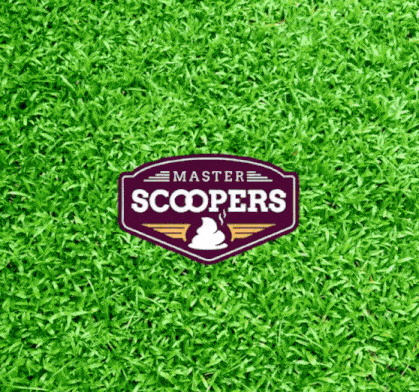 are you and your dog playing the "let's not poop scoop" game with your yard?