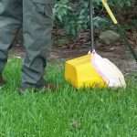 dog poop cleaners