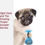 dog poop removal